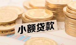 东莞线下哪里有小额贷款-东莞线下身份证贷款平台-东莞线下民间短借